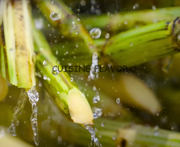 Best Sweet Sips of Sunshine | All about Sugarcane Juice